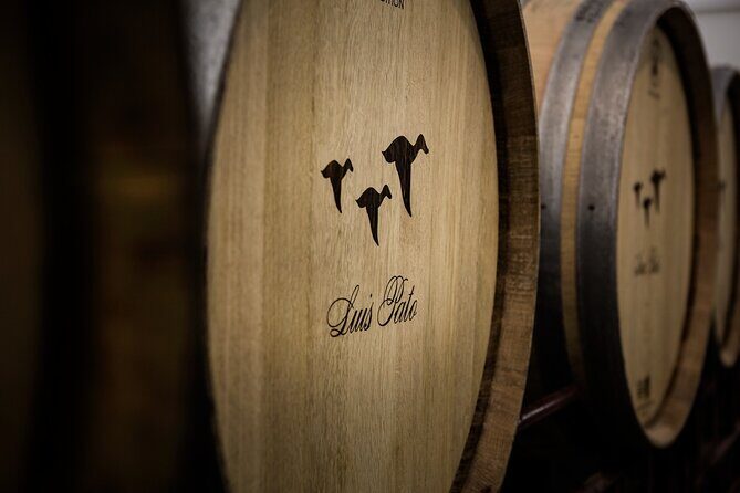 Private Tour to Aveiro, to the Sparkling Wine Cellars and Piglet Tasting - From Porto: how Aveiro sets the tone fast