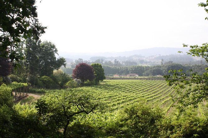 Private tour to Ponte de Lima, Vinho Verde region - Getting there in a luxury vehicle (and why it matters)