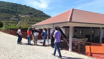 Private Tour to the rock art of Côa Park, Pinhão and Winery - Caminho da Costa Viewpoint: 45 Km of Valley in One Direction