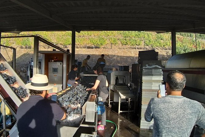 Private Tour to the rock art of Côa Park, Pinhão and Winery - Pinhão Railway Station: Tile Panels That Feel Like a Douro Timeline