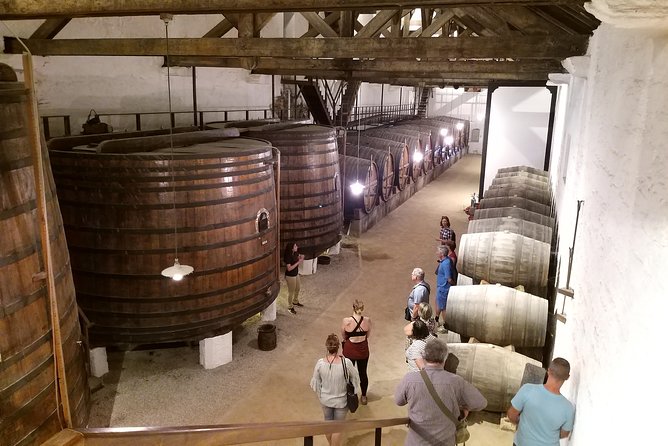 Private Tour to the rock art of Côa Park, Pinhão and Winery - Optional Winery Time: Quinta do Seixo (Sandeman) or Quinta do Bomfim