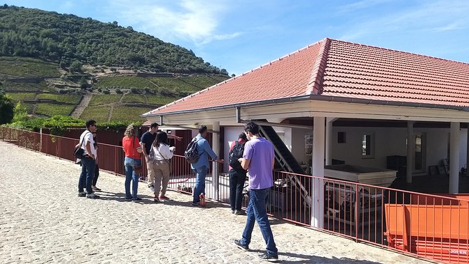Private Tour to the rock art of Côa Park, Pinhão and Winery - Caminho da Costa Viewpoint: 45 Km of Valley in One Direction