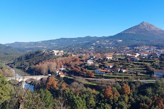 Private Vinho Verde Wine Tour from Porto with Lunch & Tastings - Celorico de Basto wine country: two farms, tastings, and a boat ride