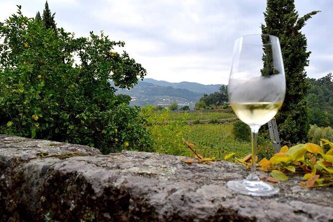 Private Vinho Verde Wine Tour from Porto with Lunch & Tastings - The winemakers’ stories: what you’ll actually learn from a private guide
