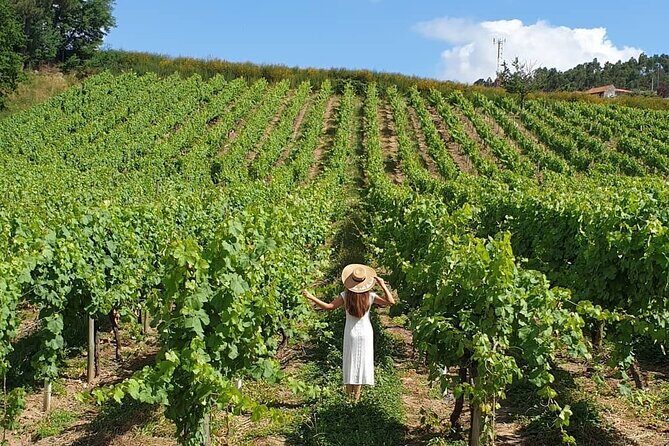Private Vinho Verde Wine Tour from Porto with Lunch & Tastings - Lunch, tastings, and the 18+ alcohol reality check