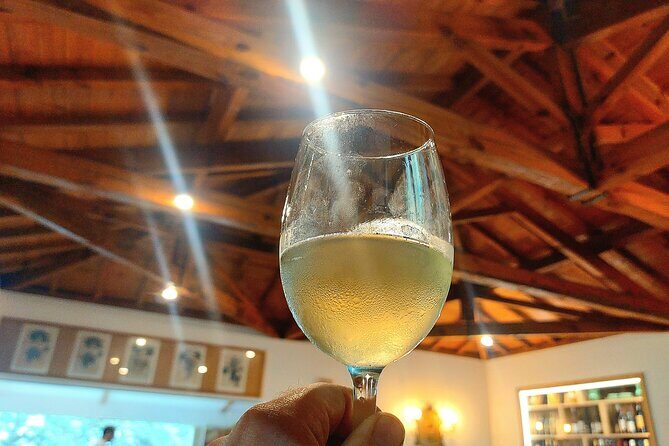 Private Vinho Verde Wine Tour from Porto with Lunch & Tastings - When private pacing is the best choice (and who it suits)