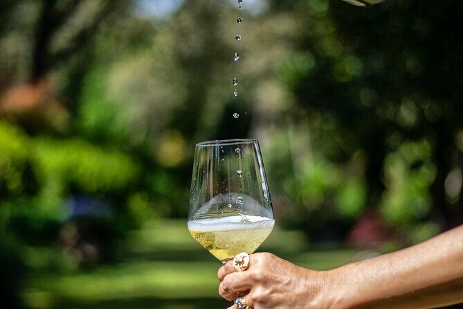 Private Vinho Verde Wine Tour from Porto with Lunch & Tastings - Getting to Amarante from Porto: coffee, pastries, and an old-town stroll