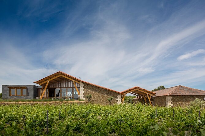 Private visit with wine tasting in Alijó Douro - Wines You’ll Taste: Lacrau and Secret Spot Brands