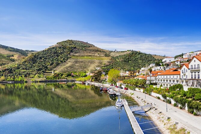 Private Wine & Food Tour in Douro - Starting in Porto: A Clean, Private Day Plan