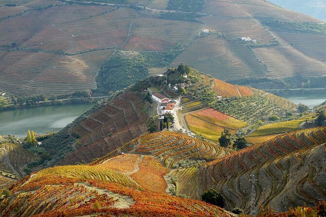 Private Wine & Food Tour in Douro - Getting the Best Out of It: Pace, Comfort, and Timing