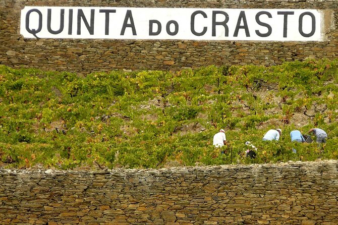 Private Wine & Food Tour in Douro - Who Should Book This Douro Private Day?