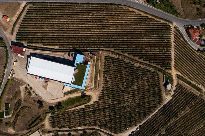 Selection Tasting | Quinta de Santa Cristina Vinho Verde - Where Quinta de Santa Cristina fits on a Braga area day