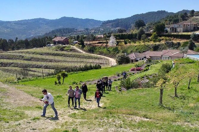 Selection Tasting | Quinta de Santa Cristina Vinho Verde - The kids’ tasting: juices and cookies that keep them in the game
