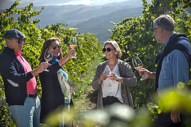 Selection Tasting | Quinta de Santa Cristina Vinho Verde - Vineyard walk: grape varieties you’ll understand (not just see)