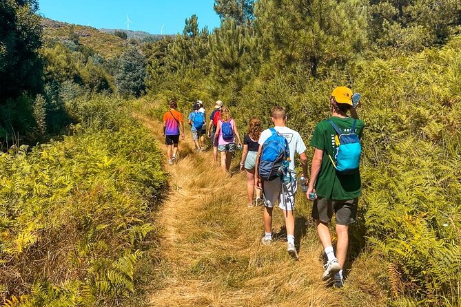 Serra D’Arga Hike, Dive & Dine Like A Local in a Secret Spot - Key things to know before you go