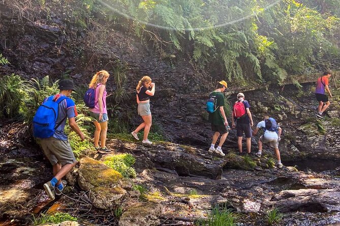 Serra D’Arga Hike, Dive & Dine Like A Local in a Secret Spot - Price and value: what $132.03 buys you here