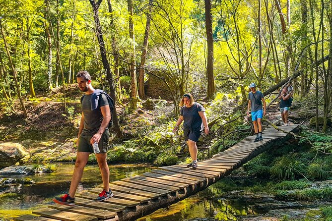 Serra D’Arga Hike, Dive & Dine Like A Local in a Secret Spot - Who should choose this tour, and who might not love it