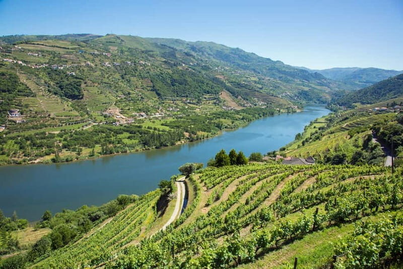 Small Group: Douro Valley Wine Tasting from Porto - Why This Douro Valley Day Trip Starts in Porto