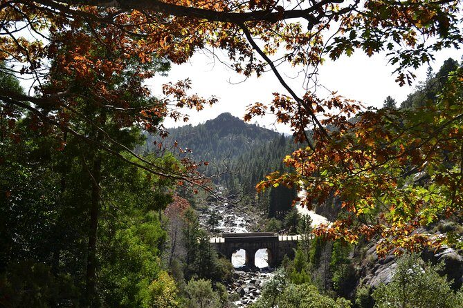 Small Group Geres National Park Full Day with picnic from Porto - Who this tour suits best (and who should think twice)