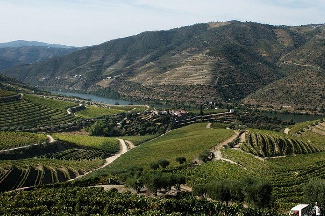 Taste the Douro - Vintage Experience - What the guide adds: learning without turning it into a lecture