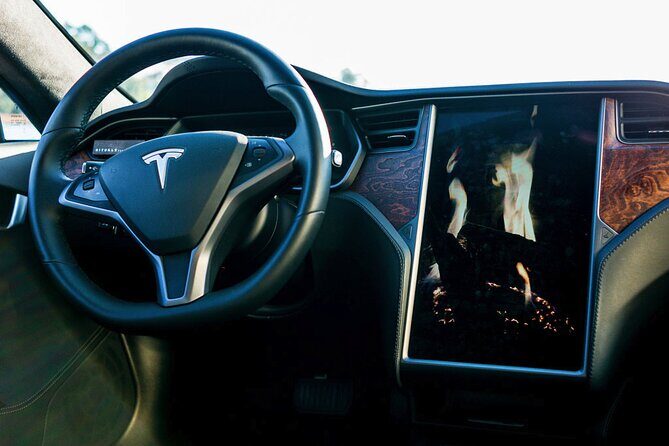 Tesla S Luxury Executive Porto Airport Transfer - Meeting and timing: how to keep it painless