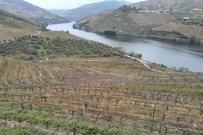 Tour- Douro Wine Region- The Douro Wine Route - A 9-hour Douro day trip that starts early and moves smart