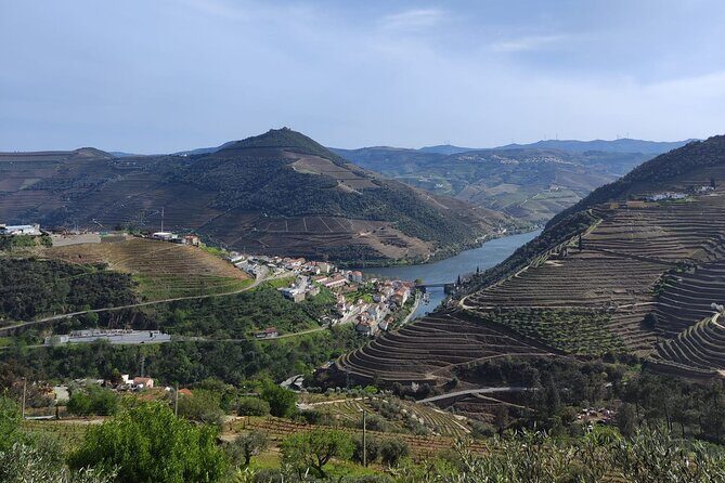 Tour- Douro Wine Region- The Douro Wine Route - Why the small group (max 7) is the real upgrade