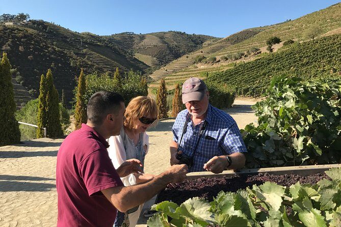 Tour to the Palace of Mateus and the Douro - Should you book the Palace of Mateus and Douro tour?