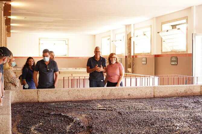 Tour to the Palace of Mateus and the Douro - Pinhão Train Station in 15 minutes: Quick views, no wasted time