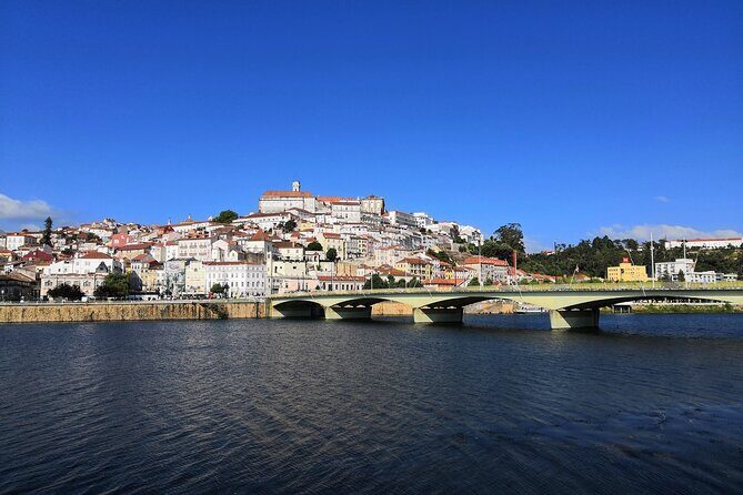 Transfer Tour Between Lisbon and Porto - Aveiro: canals, boats, and a different kind of Portuguese charm