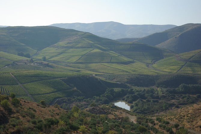 Upper Douro Walk & WineTour - Key highlights at a glance