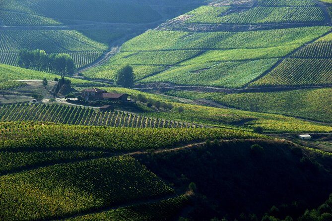 Upper Douro Walk & WineTour - Getting there in comfort: Braga to Vila Nova de Foz Côa by Tesla