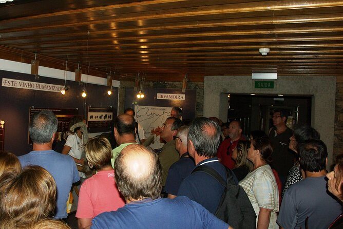 Upper Douro Walk & WineTour - Quinta visit and DOC Douro tasting: what “wine tasting” should mean