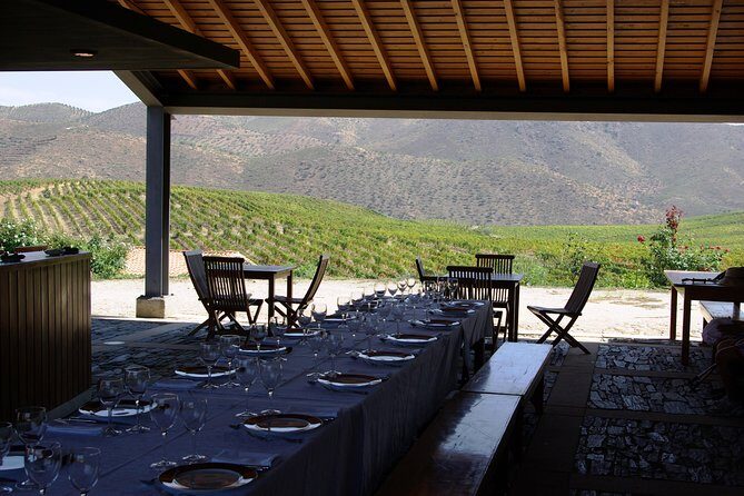 Upper Douro Walk & WineTour - Lunch with local farm-to-table energy (and time to reset)