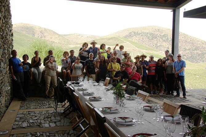 Upper Douro Walk & WineTour - Côa Museum: using the museum before you see the engravings