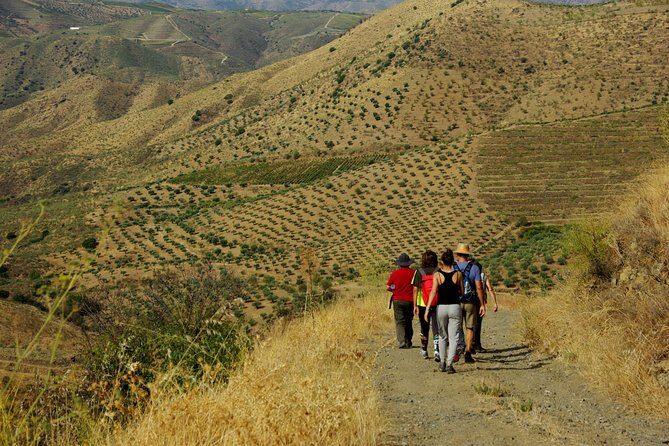 Upper Douro Walk & WineTour - Vale do Côa Archaeological Park and the prehistoric engravings