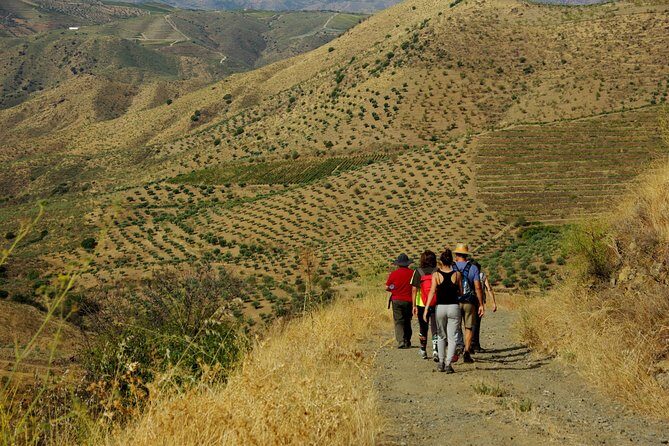 Upper Douro Walk & WineTour - Time on the ground: how an 8 to 10 hour day should feel