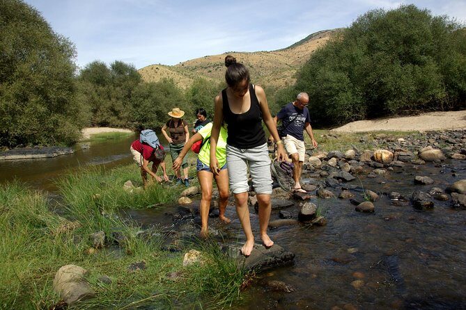 Upper Douro Walk & WineTour - Price and value: $254.50 per person for a full, structured experience