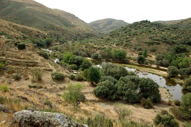 Upper Douro Walk & WineTour - The 10km walk in Alto Douro: easy on paper, plan for hills