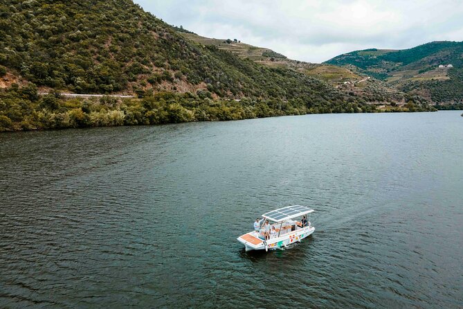 Valley of the Douro: Private Tour Electric Boat 1h With Wine Tasting - Daurum Solar Boats in Pinhão: what you’re walking into