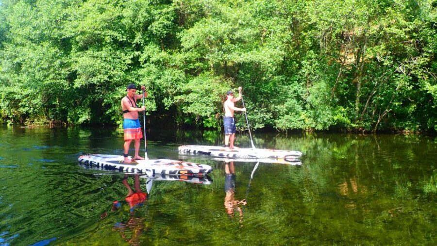 Viana do Castelo: Vez River SUP with Transfer Options - Key highlights you’ll actually care about