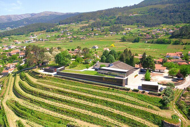 Vinho Verde Experience with 2 Wineries and Lunch - Key things to know before you book