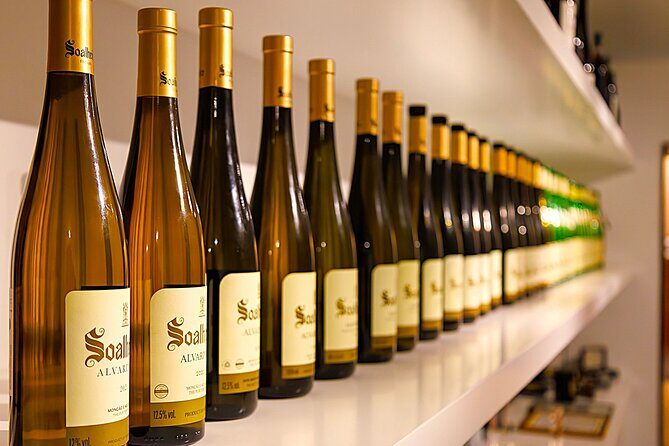 Vinho Verde Experience with 2 Wineries and Lunch - Quinta da Torre – Anselmo Mendes: Another Green Wine Tasting Session