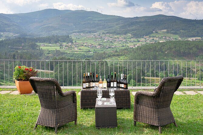 Vinho Verde Experience with 2 Wineries and Lunch - What to Know Before You Go: Tickets, Alcohol Rules, and Dietary Needs