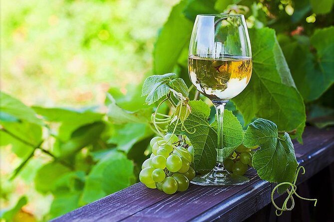 Vinho Verde Private Wine-Tour (All Inclusive) - Pickup, timing, and what a 9-hour route really means