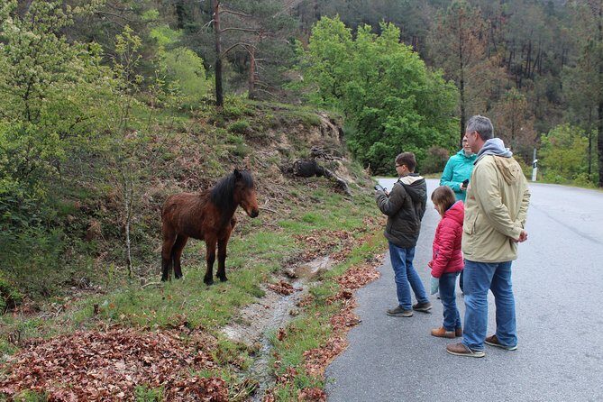 Waterfalls, Heritage and Nature in Gerês Park - from Porto - Stop 2: Ponte da Misarela and the Devil’s Bridge mystery