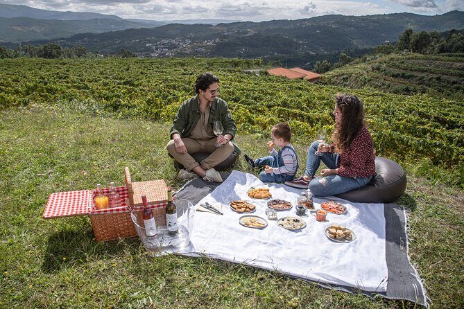 Wine Tasting & Lunch from Porto | Quinta de Santa Cristina - Porto to Quinta de Santa Cristina: the ride that sets the mood