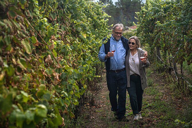 Wine Tasting & Lunch from Porto | Quinta de Santa Cristina - Group size and pace: why the day feels comfortable