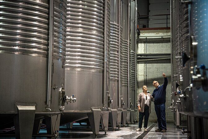 Wine Tasting & Lunch | Quinta de Santa Cristina Vinho Verde - Vineyard walk to winery tour: how the time stays worth it