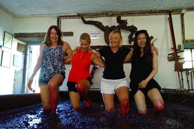 Wine Venture and Boat Trip in Douro Valley from Porto - What to Buy, Bring, and Plan for After the Tour